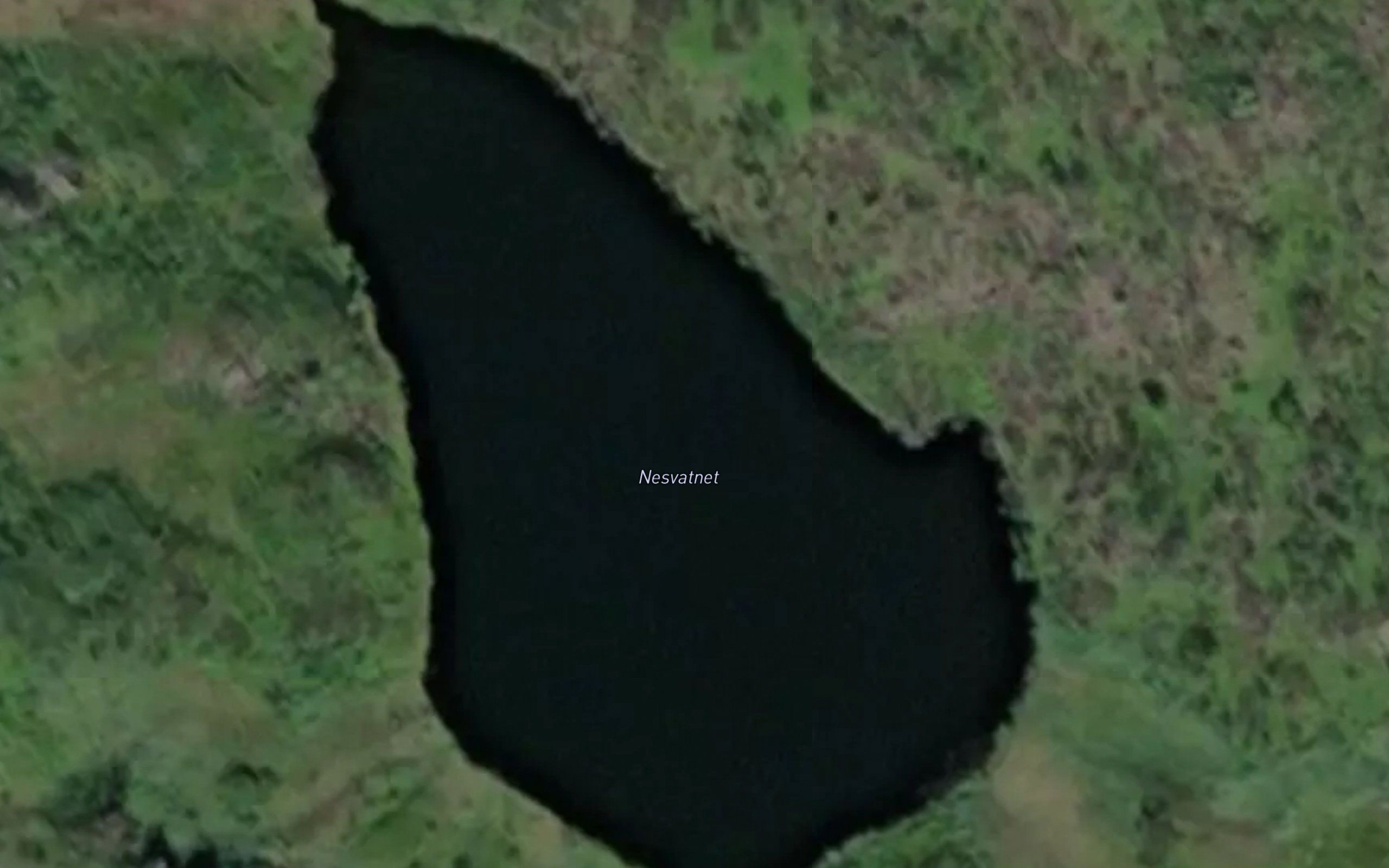 Nesvatnet