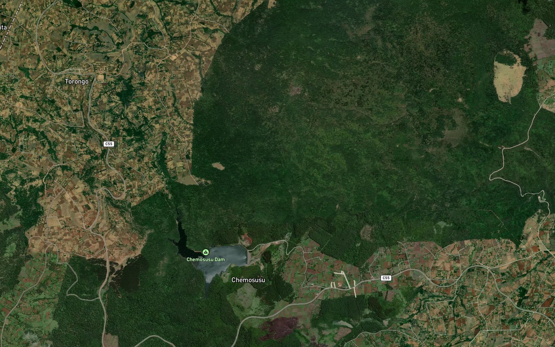 Satellite map of the Torongo