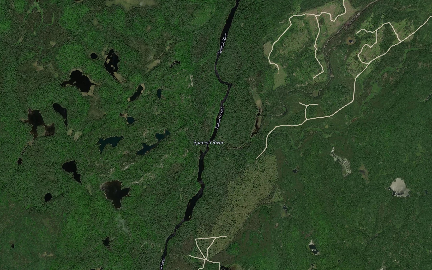 Satellite map of the Geneva Creek