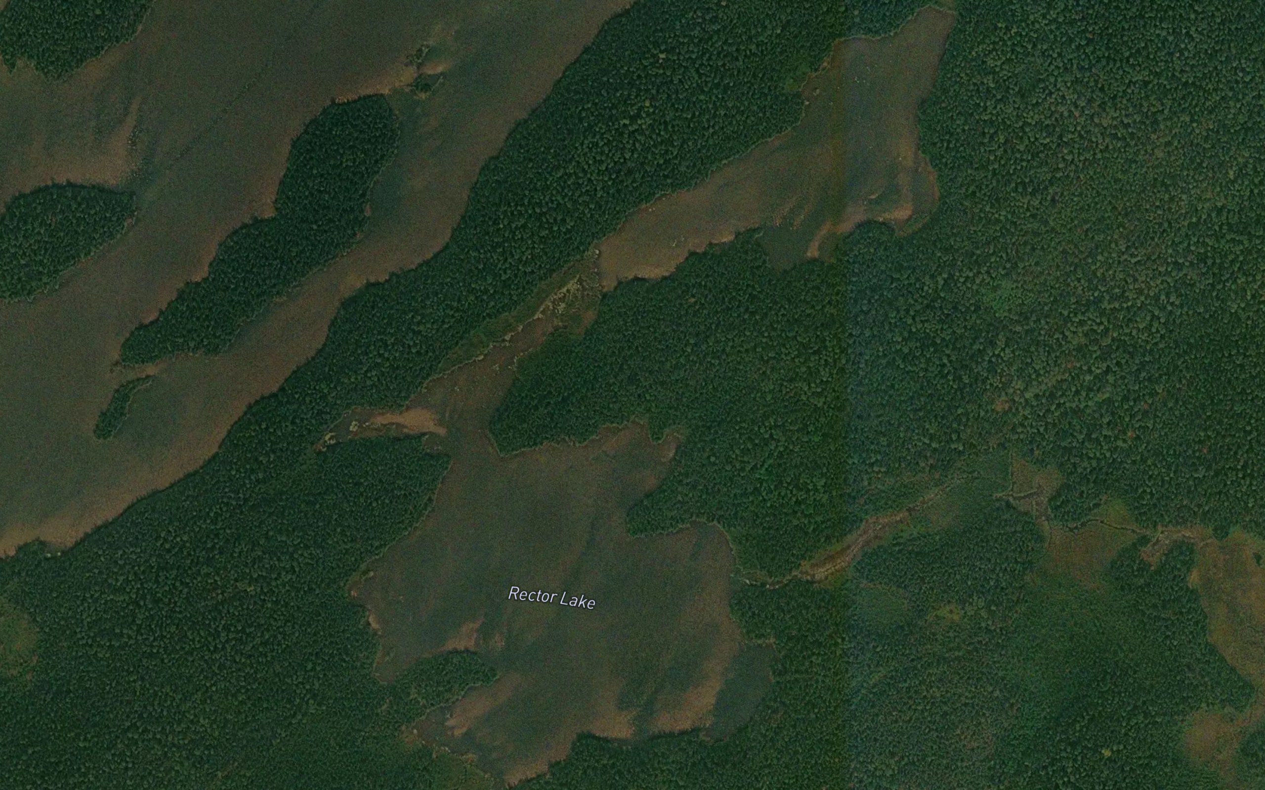 Rector Lake