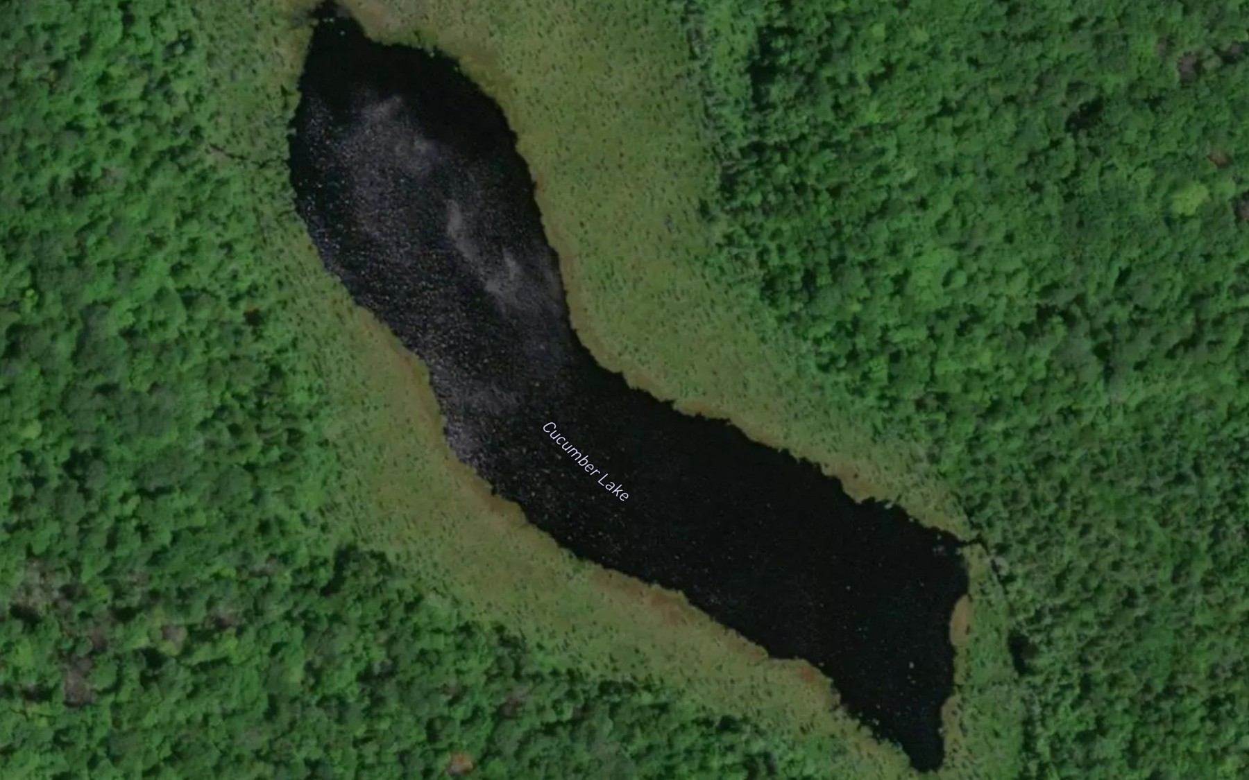 Satellite map of the Cucumber Lake