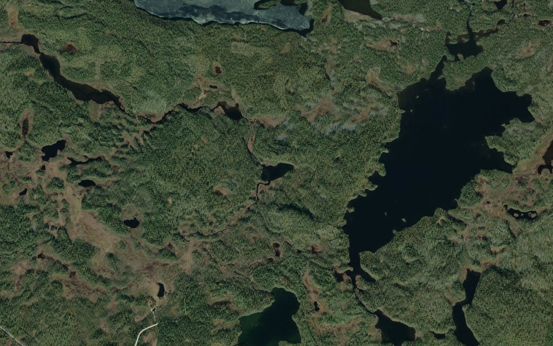 Satellite map of the Selkajarvi