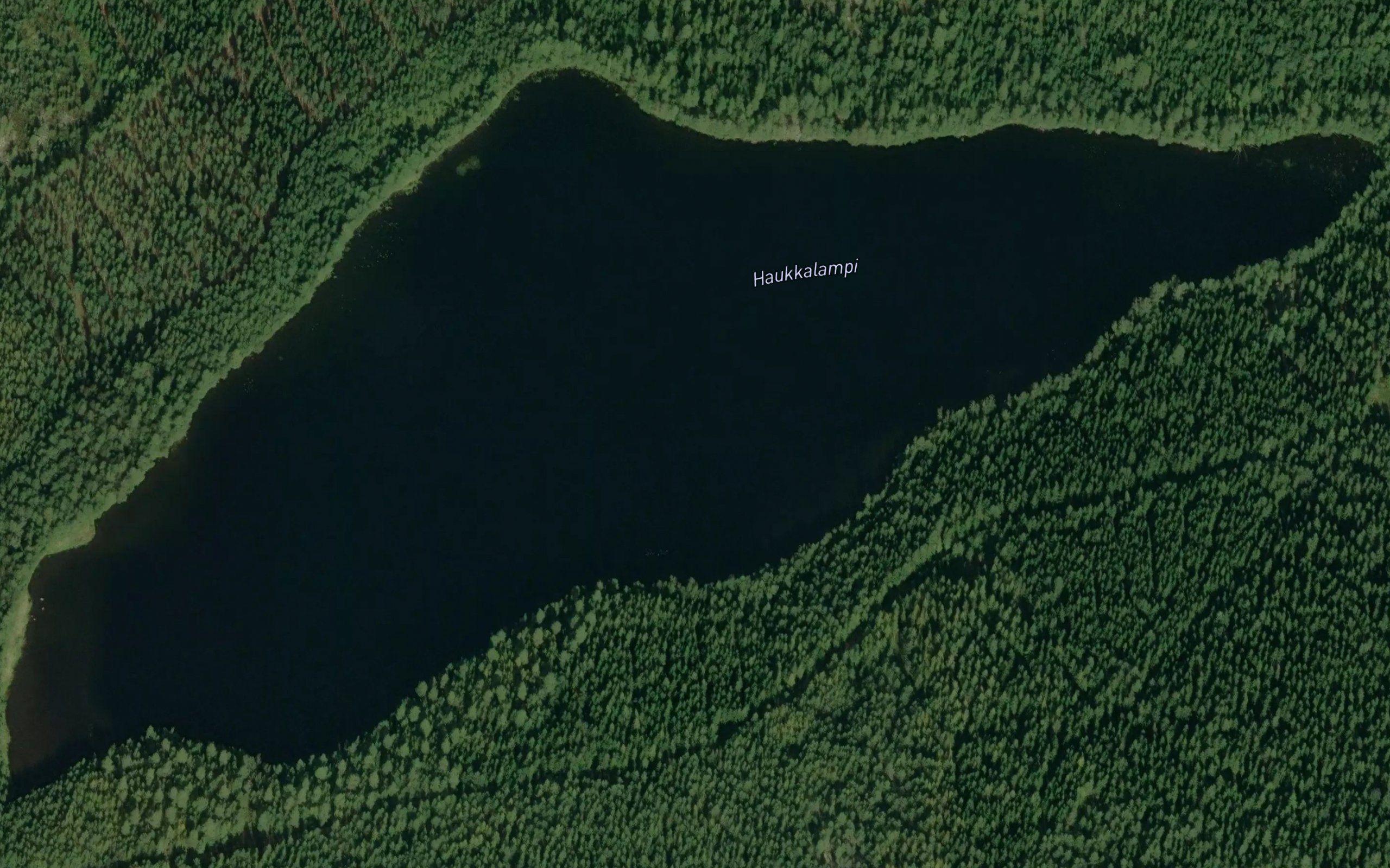 Haukkalampi