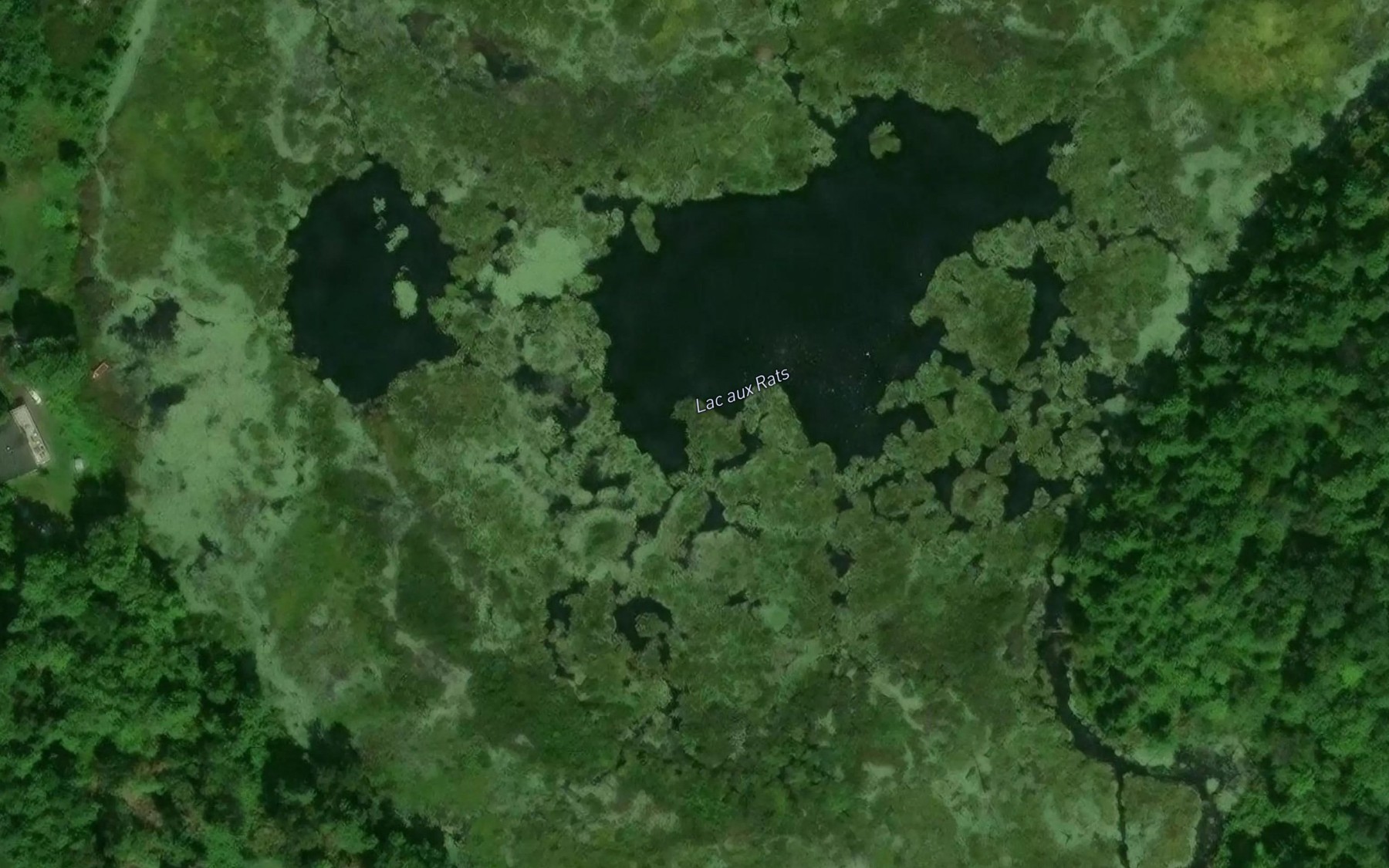 Satellite map of the Lac aux Rats