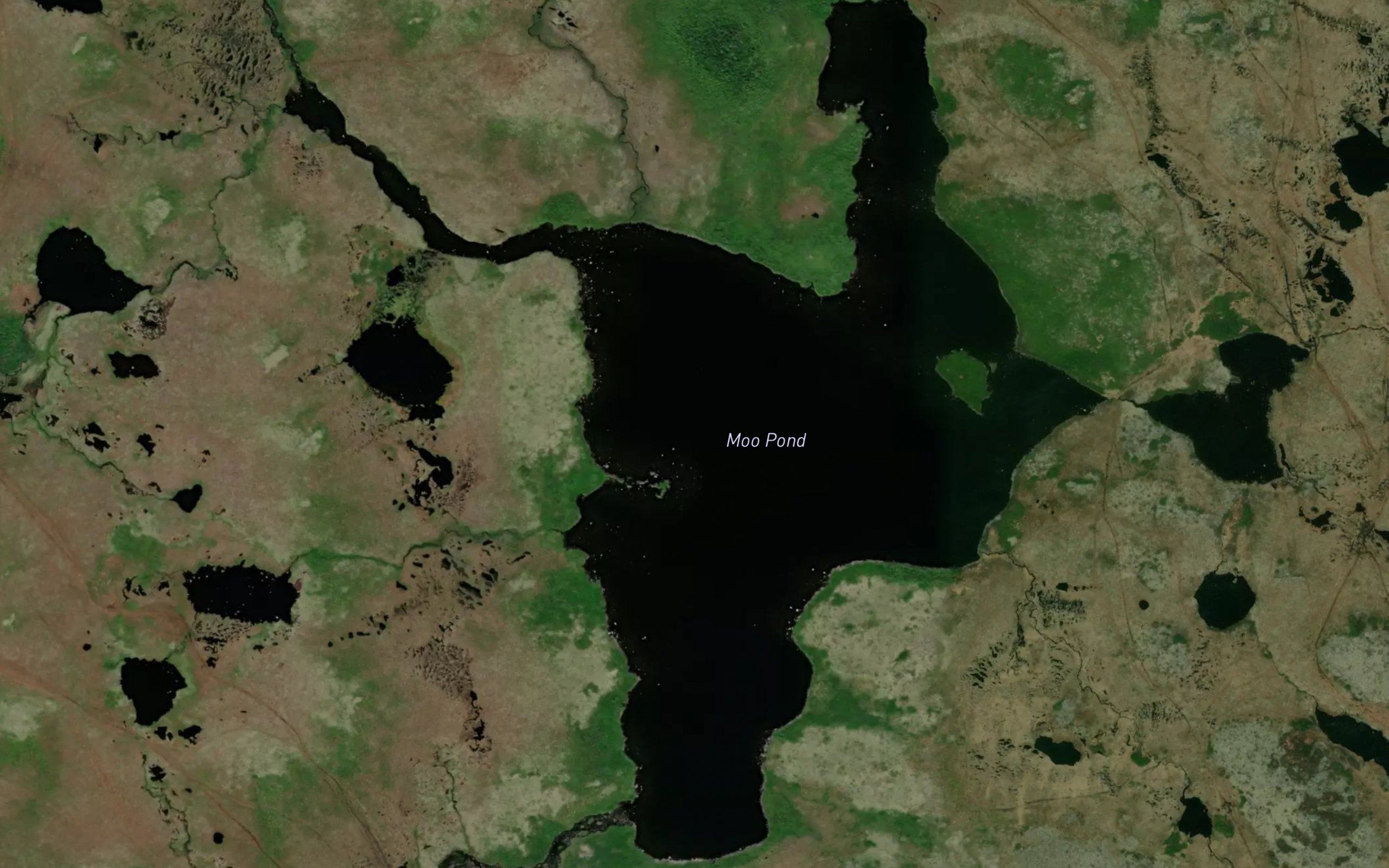 Moo Pond