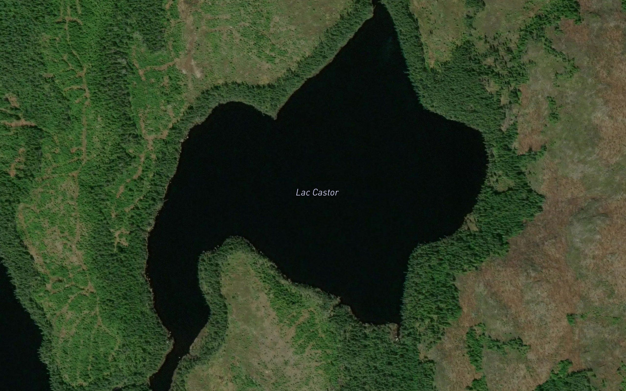 Lac Castor