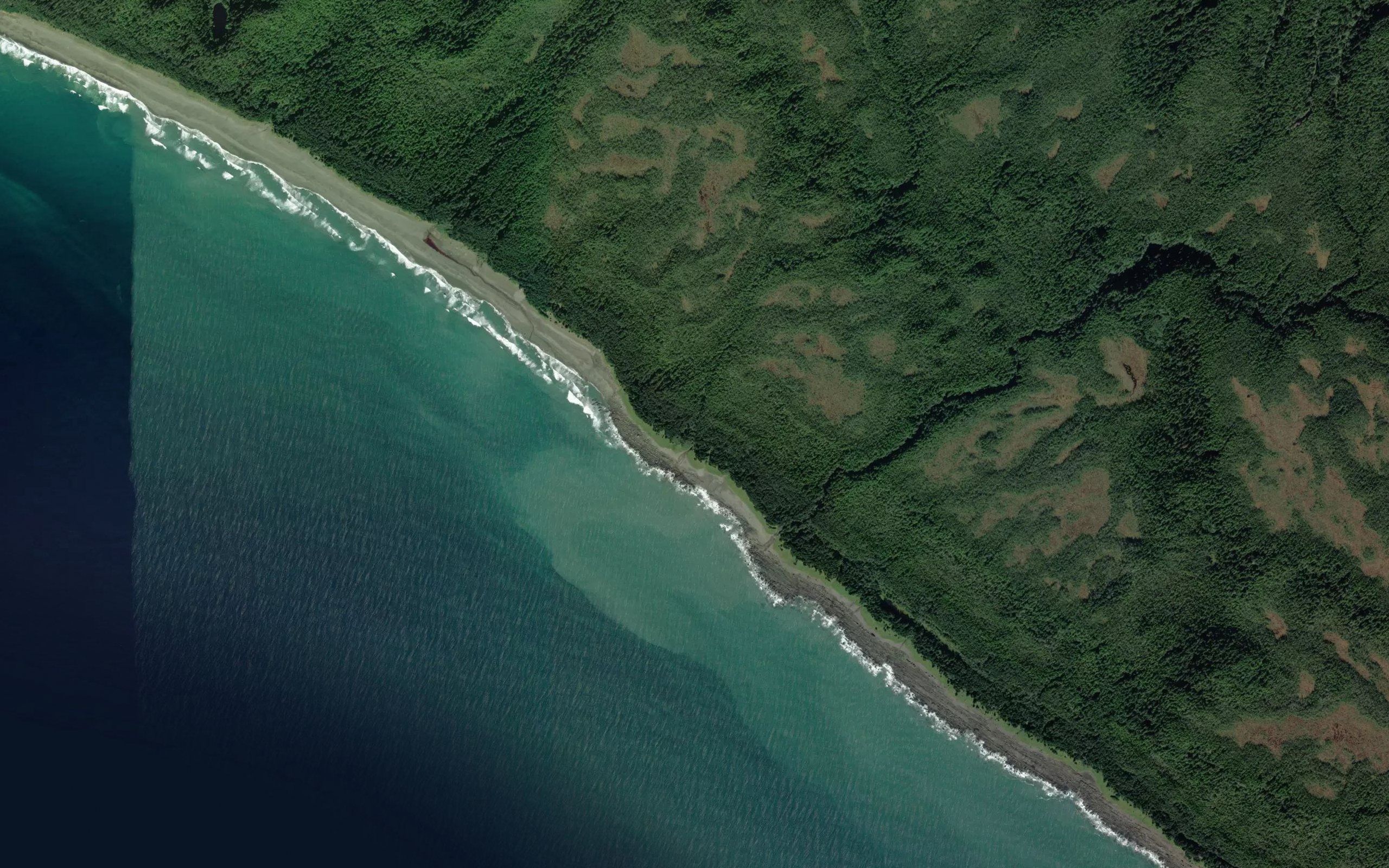 Whale Creek
