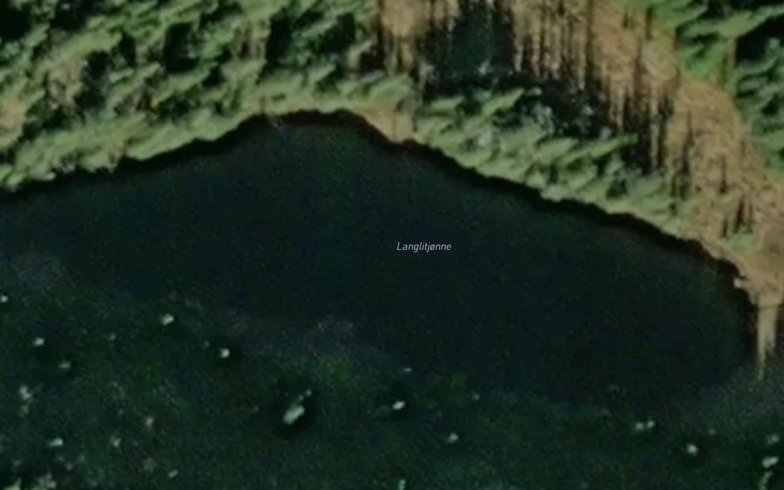 Langlitjorni