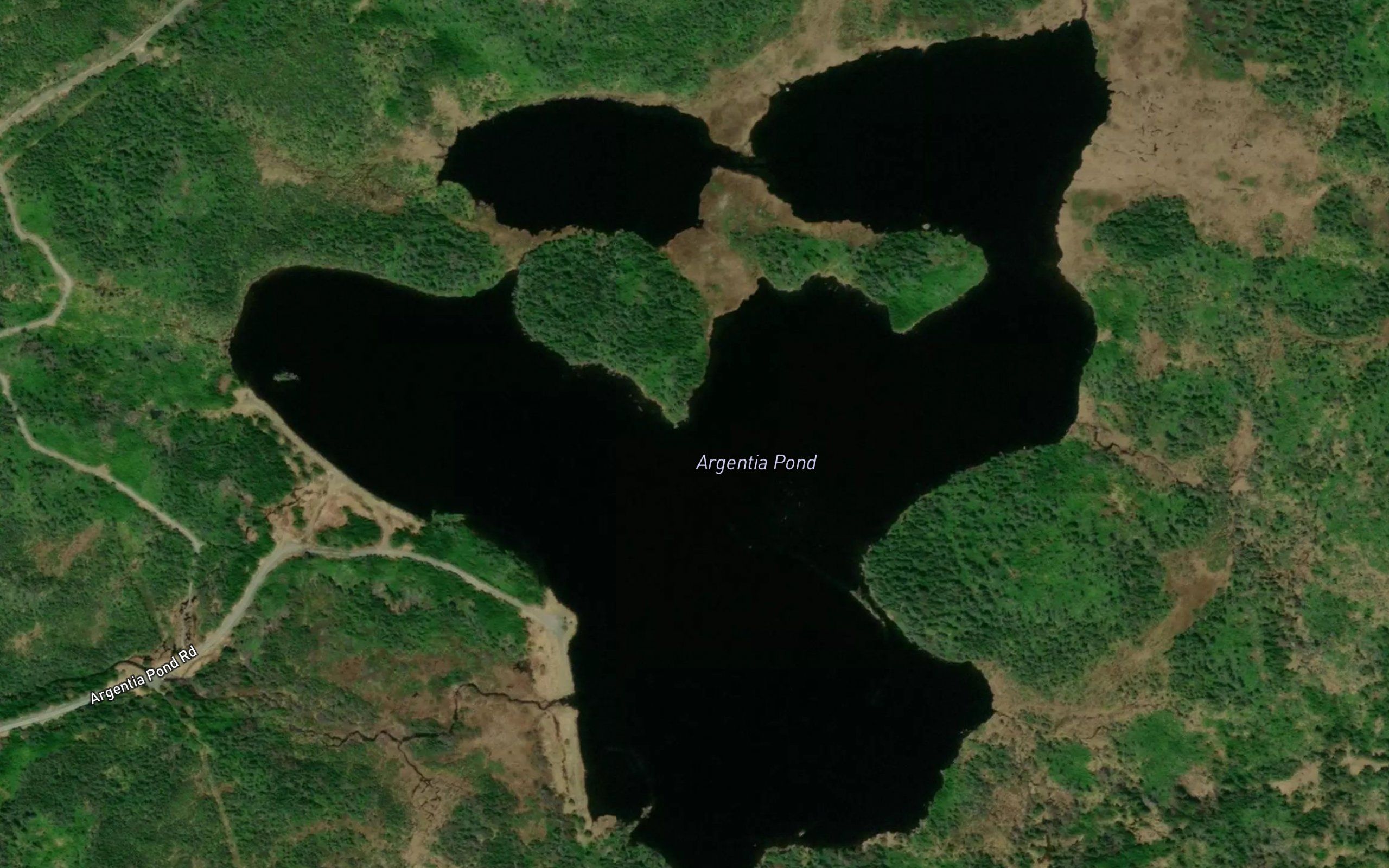 Argentia Pond