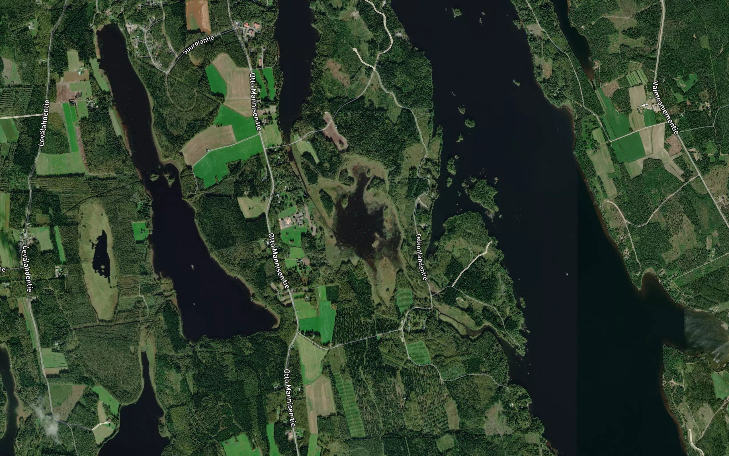 Leppaselka