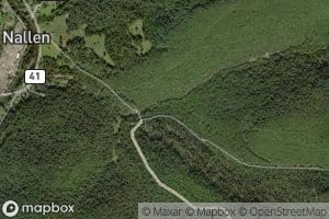 North Prong Miller Creek