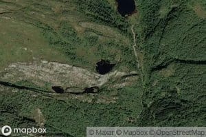 Lomstjorna