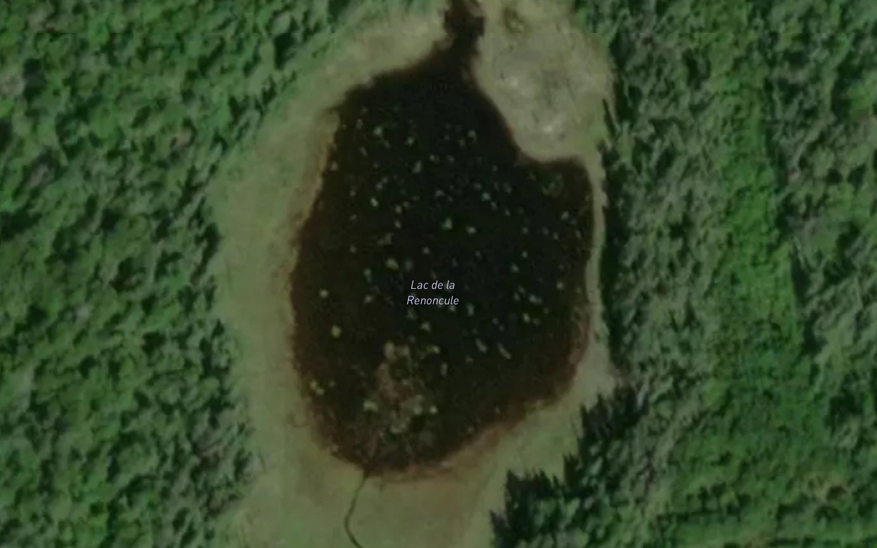 Satellite map of the Lac de la Renoncule