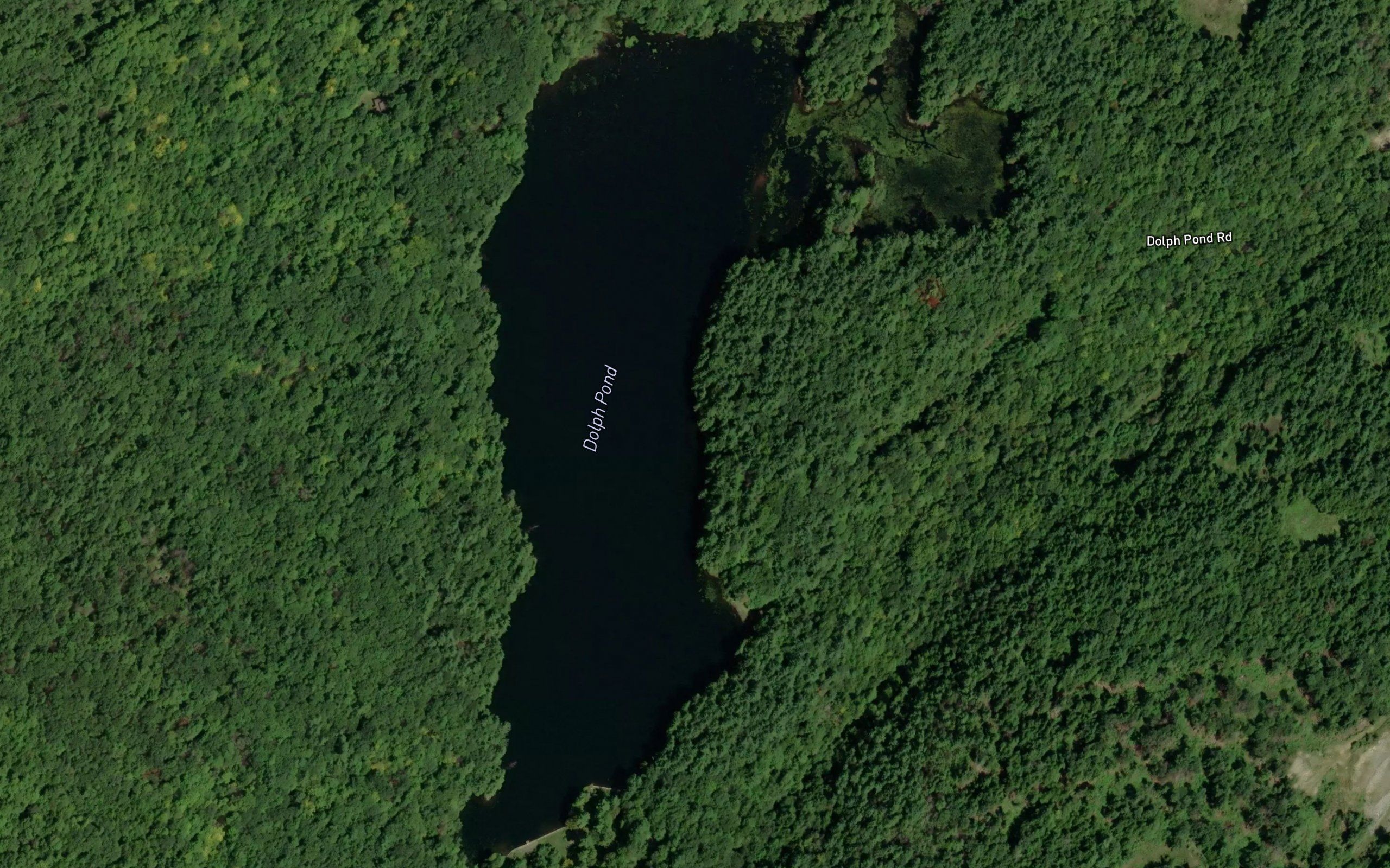 Dolph Pond