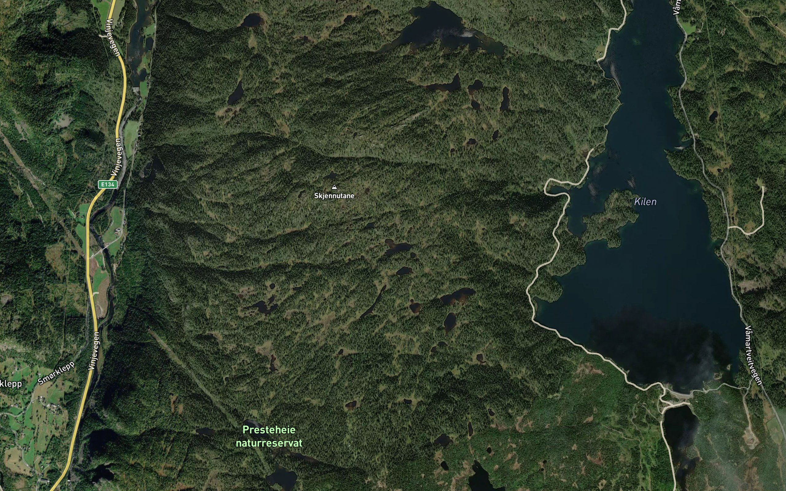 Dikekvaevtjonn