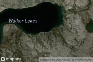 Walker Lakes