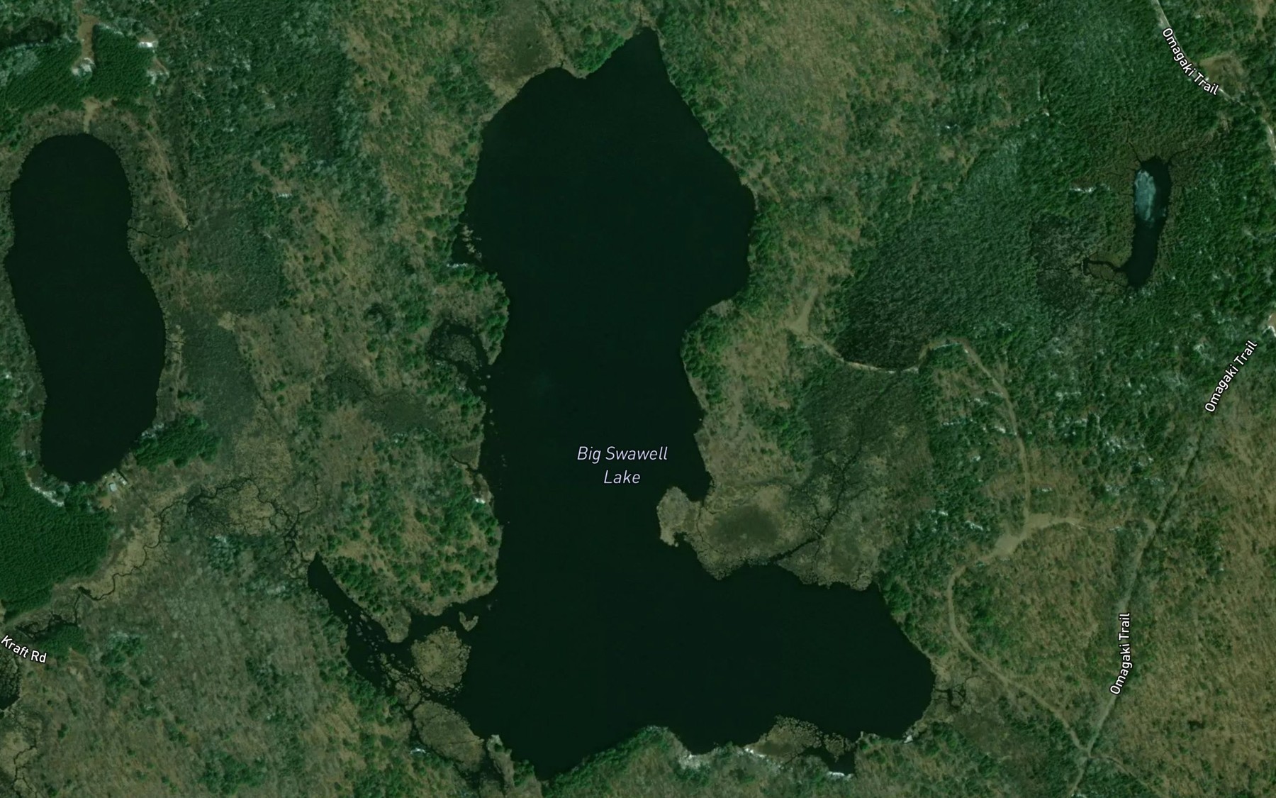 Satellite map of the Big Swawell Lake