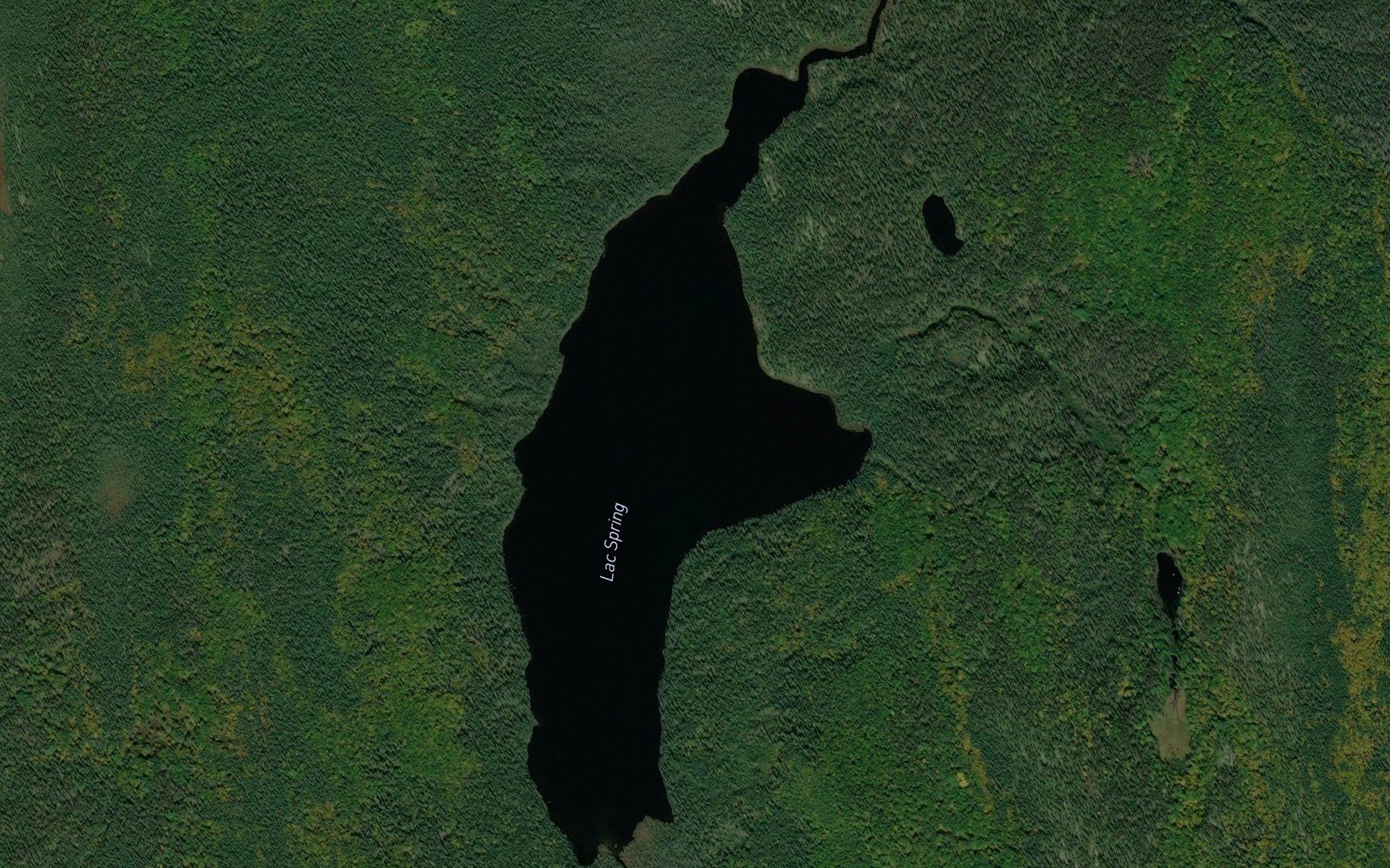 Satellite map of the Lac Spring