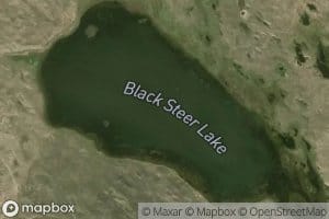 Black Steer Lake