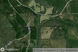 Coon Creek