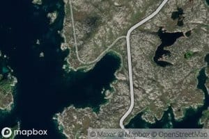 Skutevika