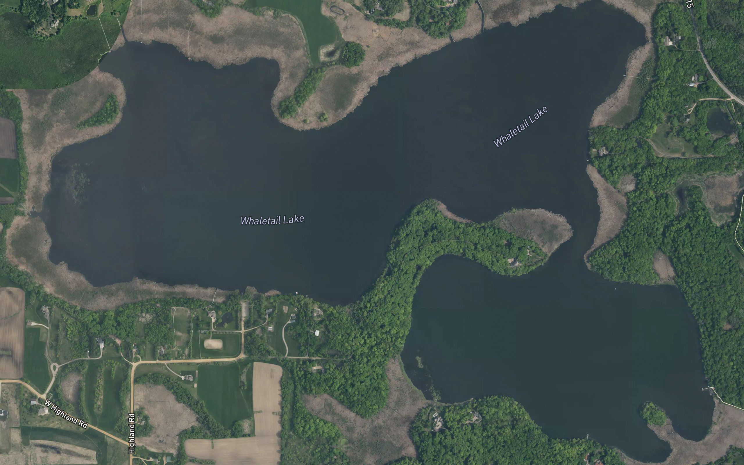 Whaletail Lake