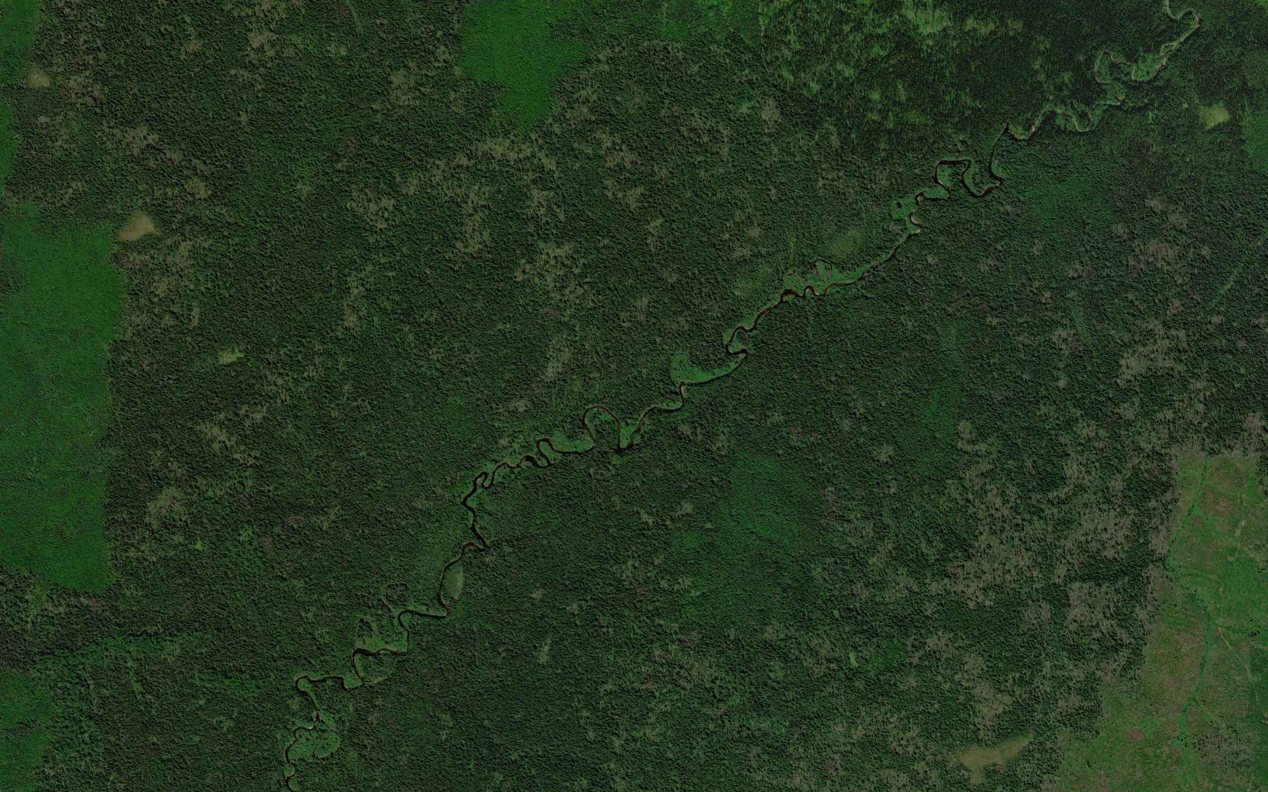 Letnyaya