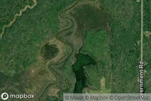 Rins Creek