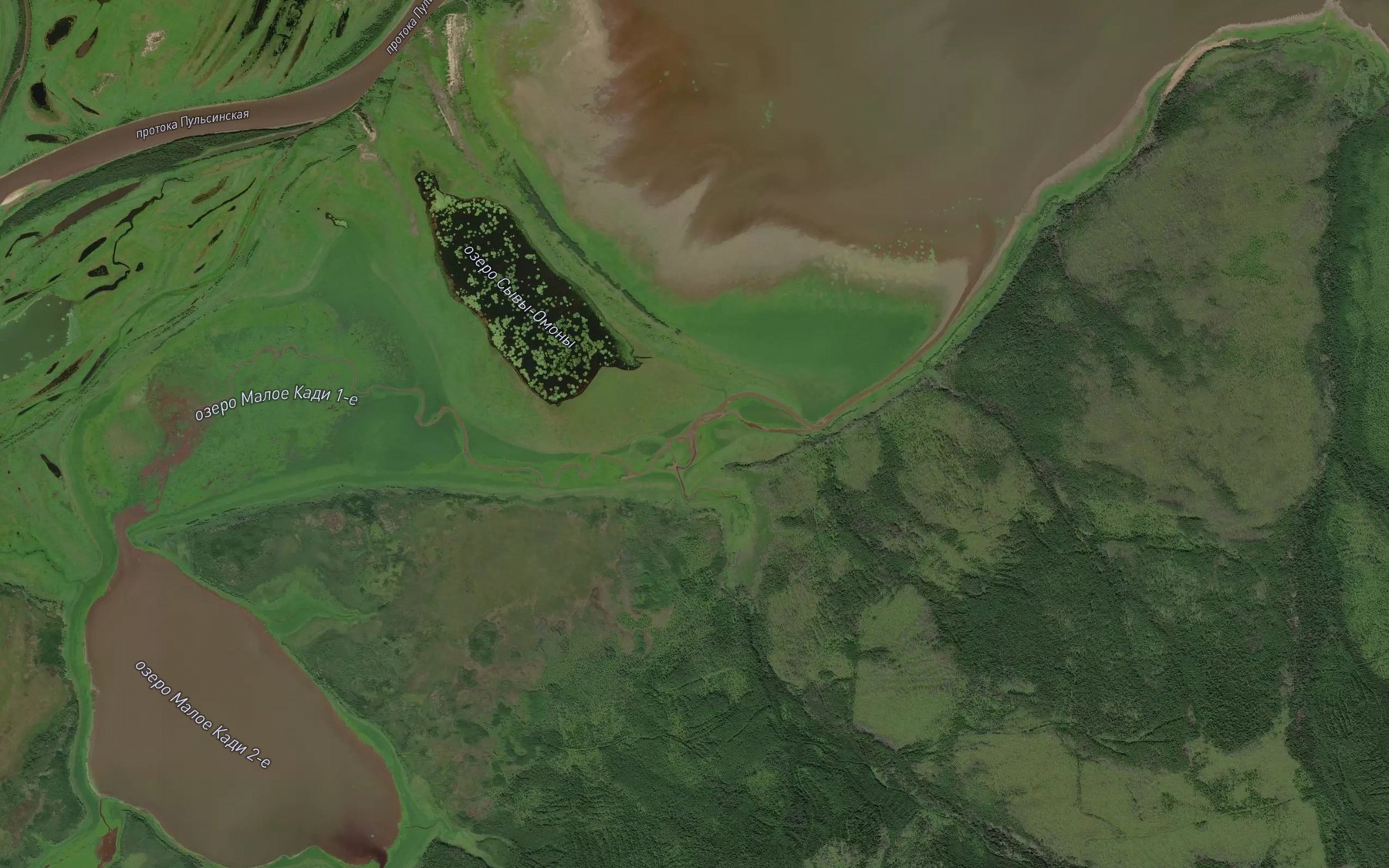 Satellite map of the Irgani