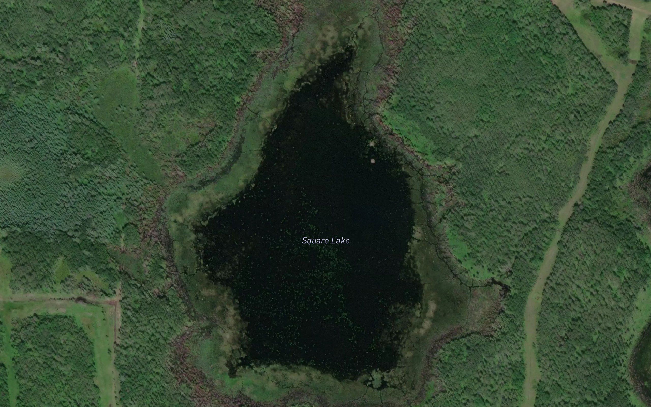 Square Lake