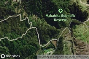Makahika Stream