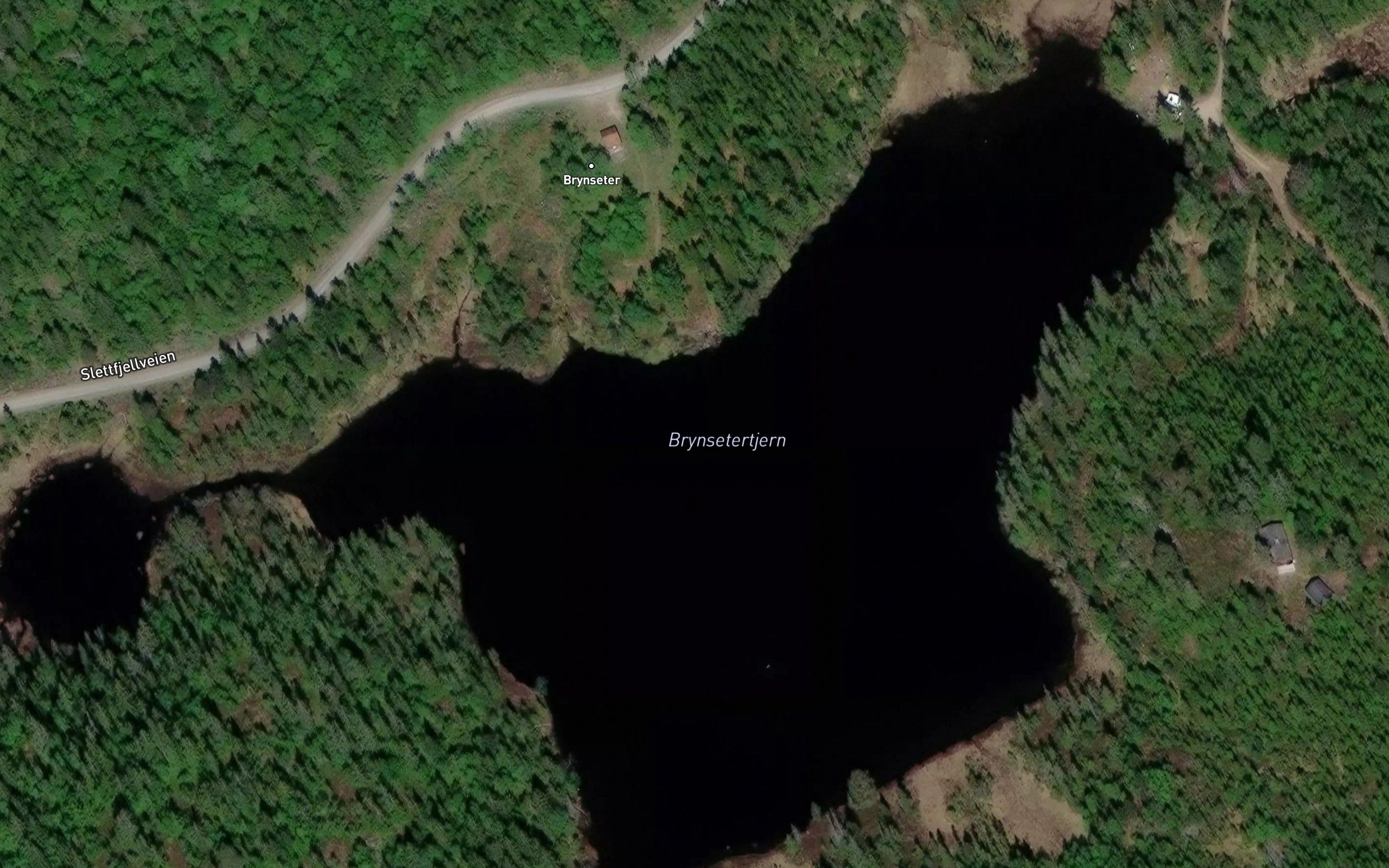 Brynsetertjern