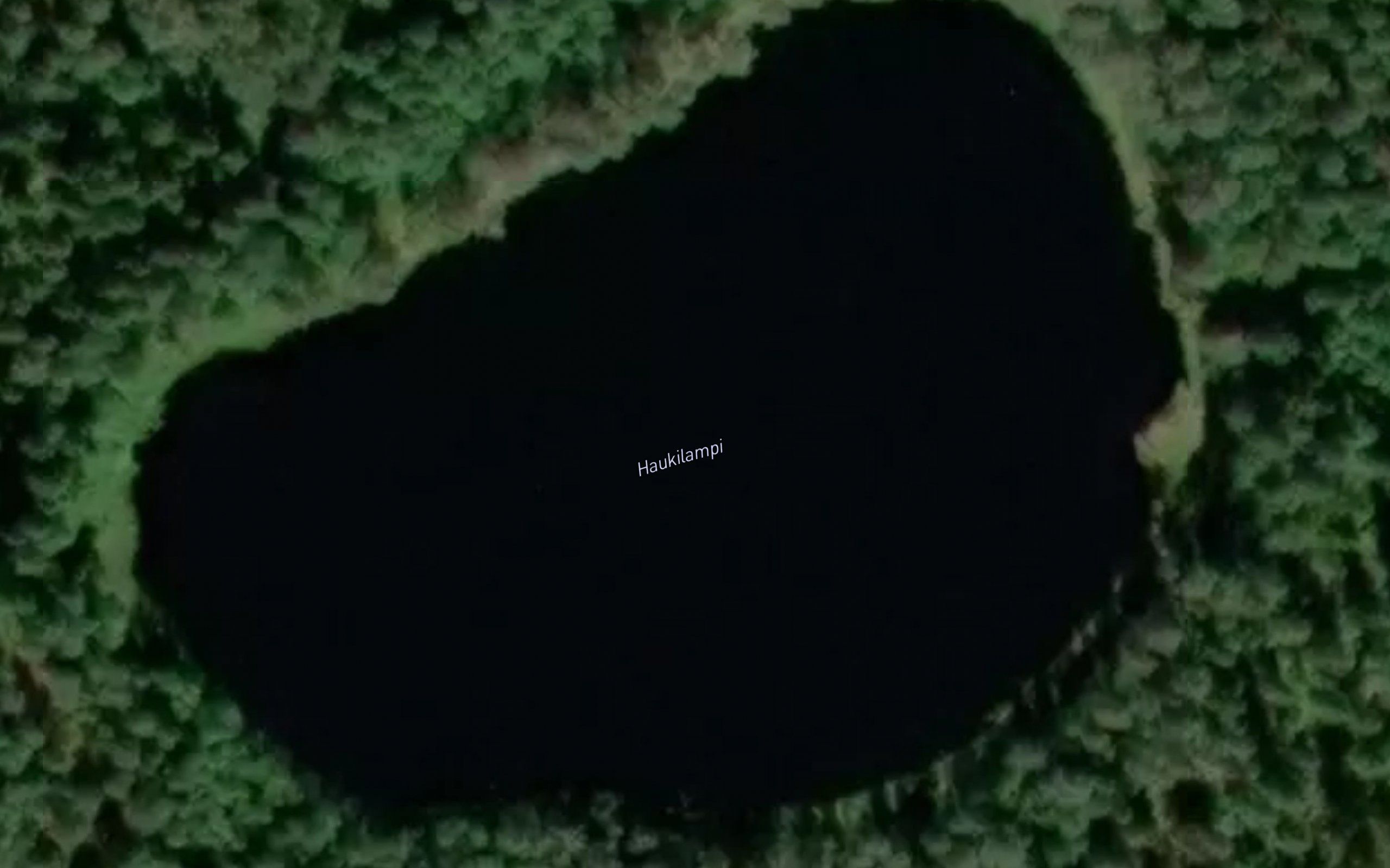 Haukilampi