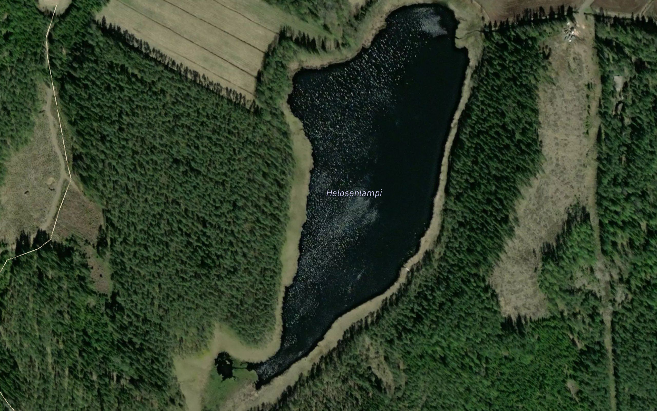 Helosenlampi
