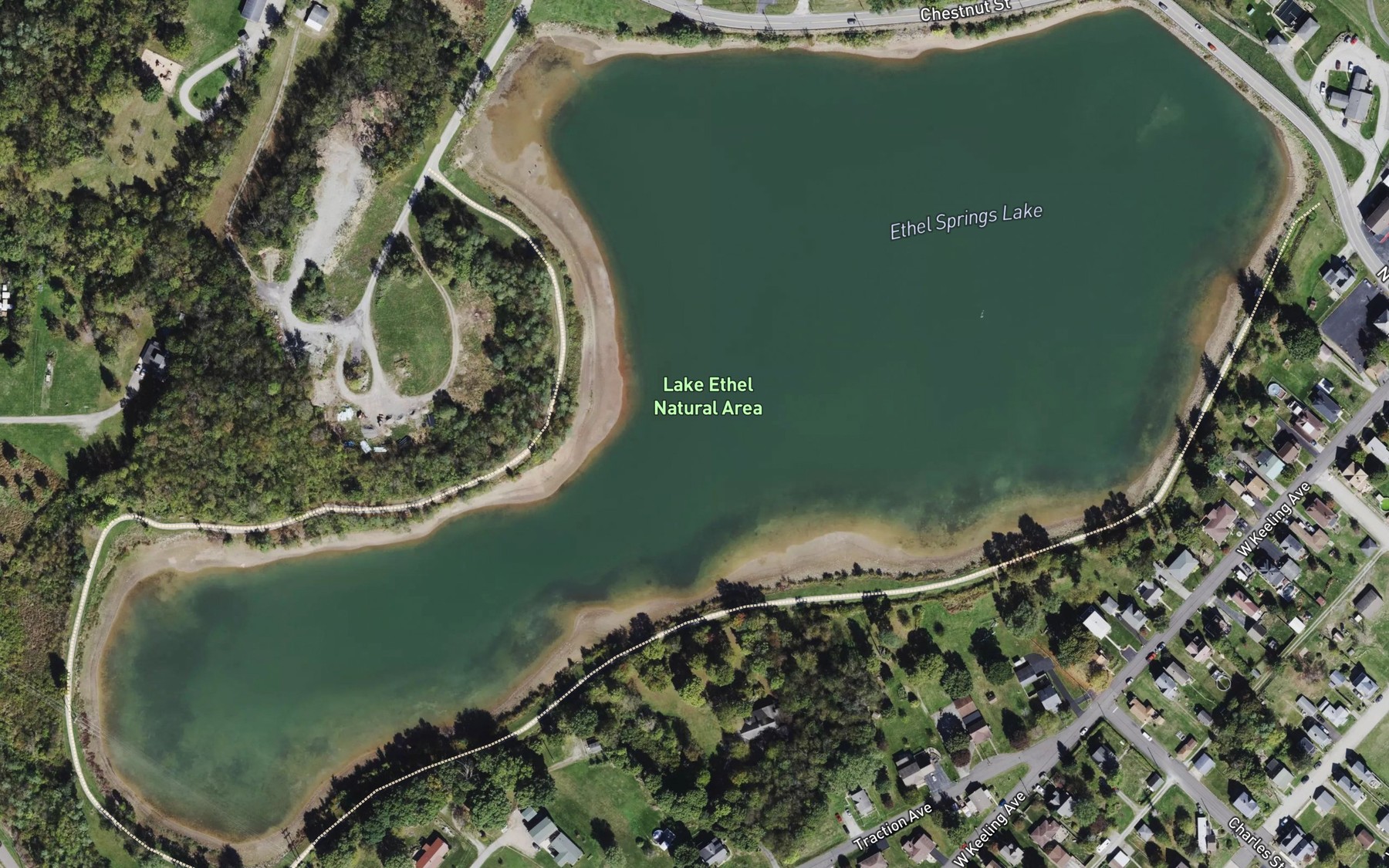 Satellite map of the Ethel Springs Lake