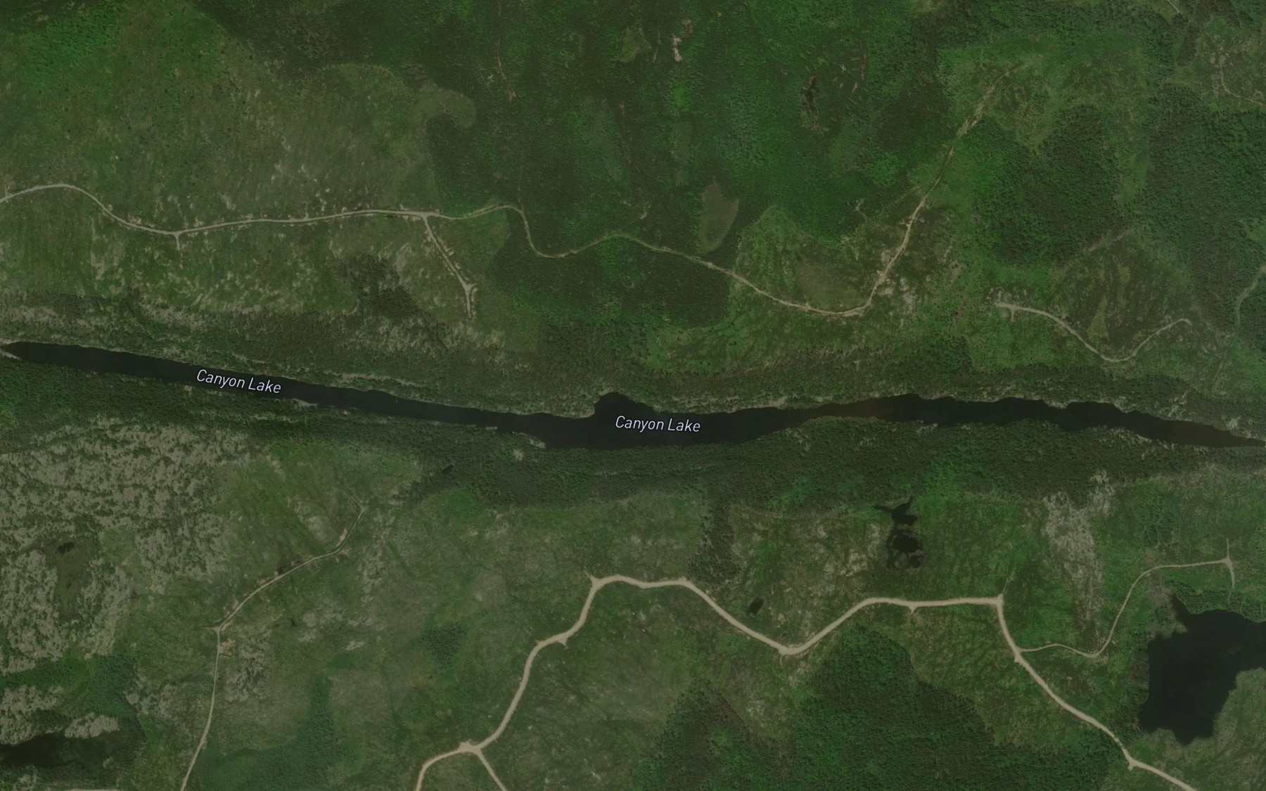 Satellite map of the Canyon Lake