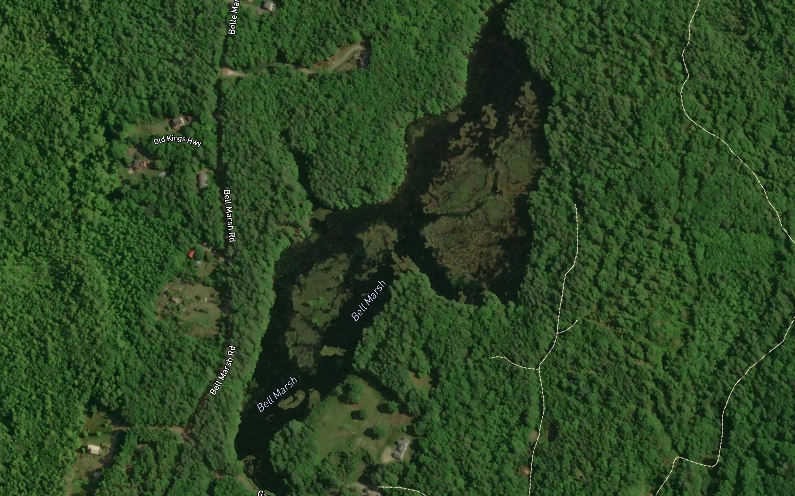 Bell Marsh