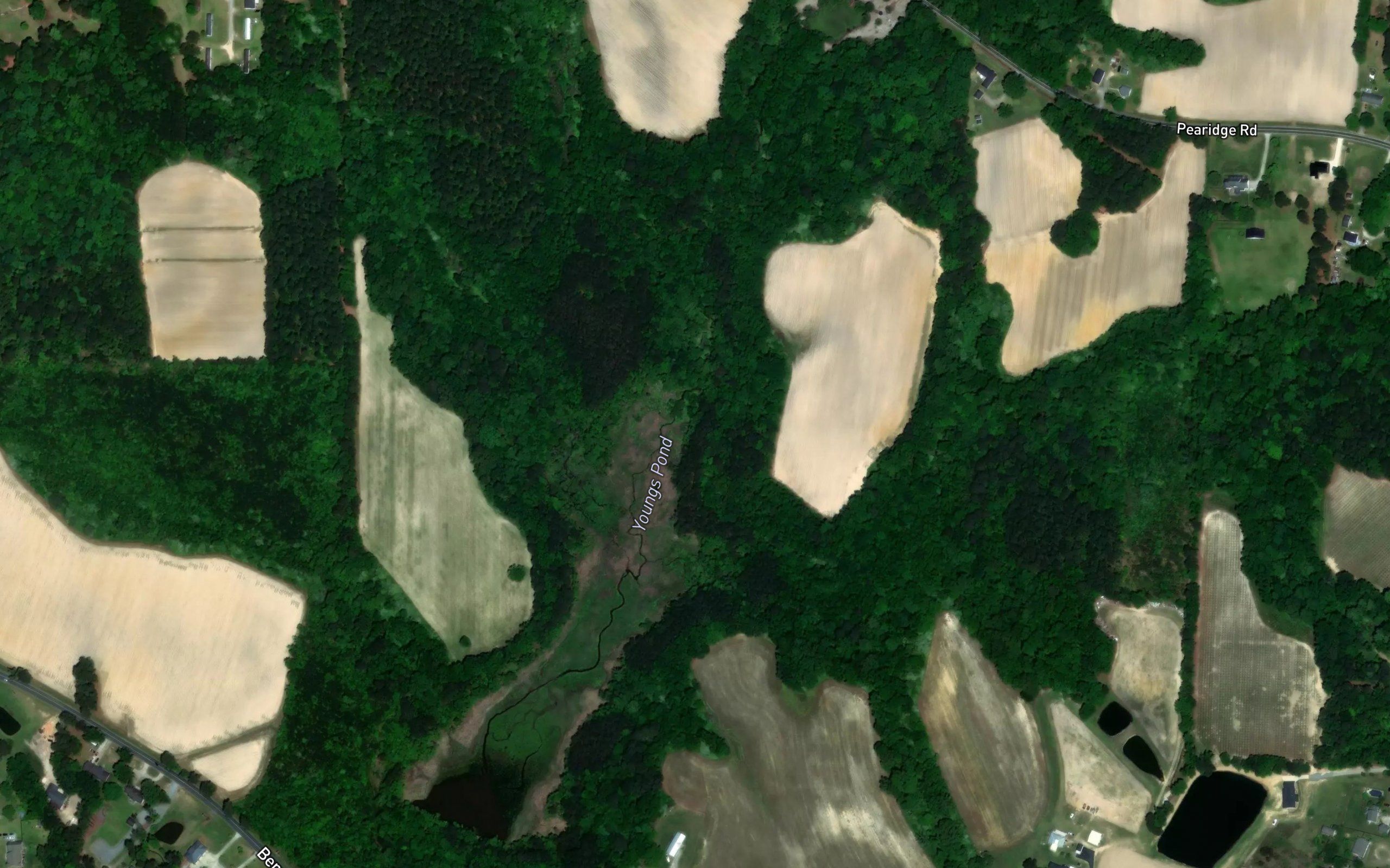 Youngs Pond