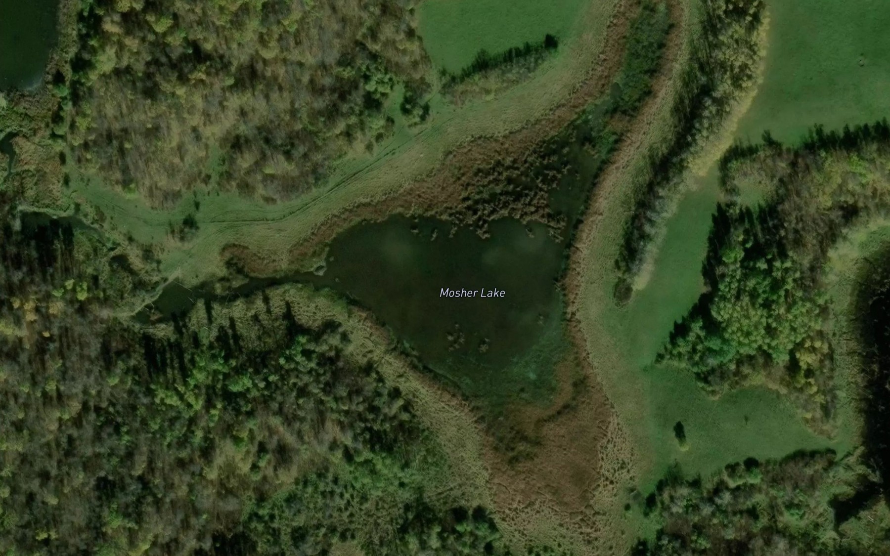 Satellite map of the Mosher Lake