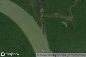 Parana Joari