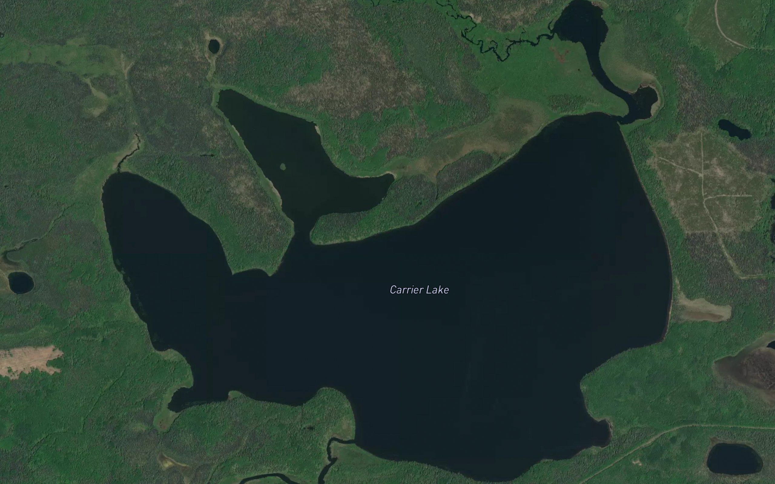 Carrier Lake
