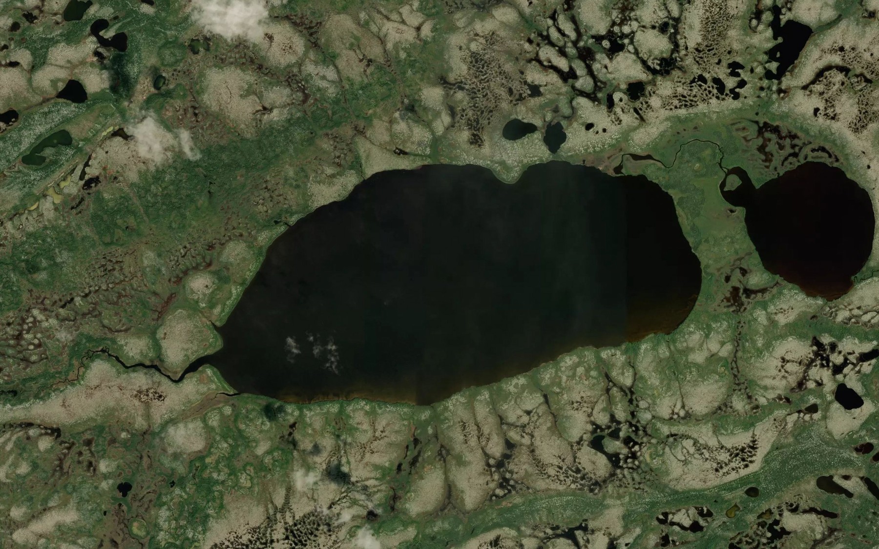 Satellite map of the Patchepawapoka Lake