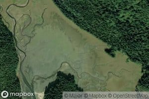 Dry Bay