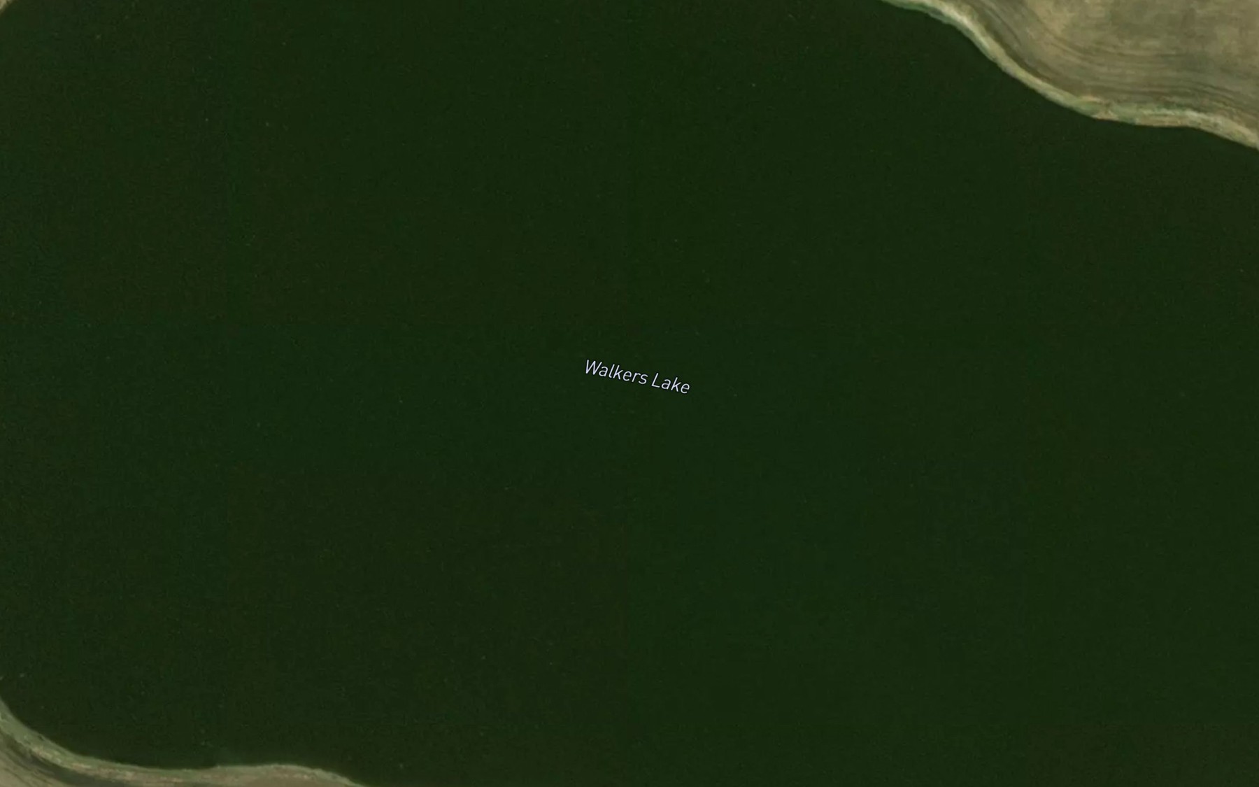 Satellite map of the Walkers Lake