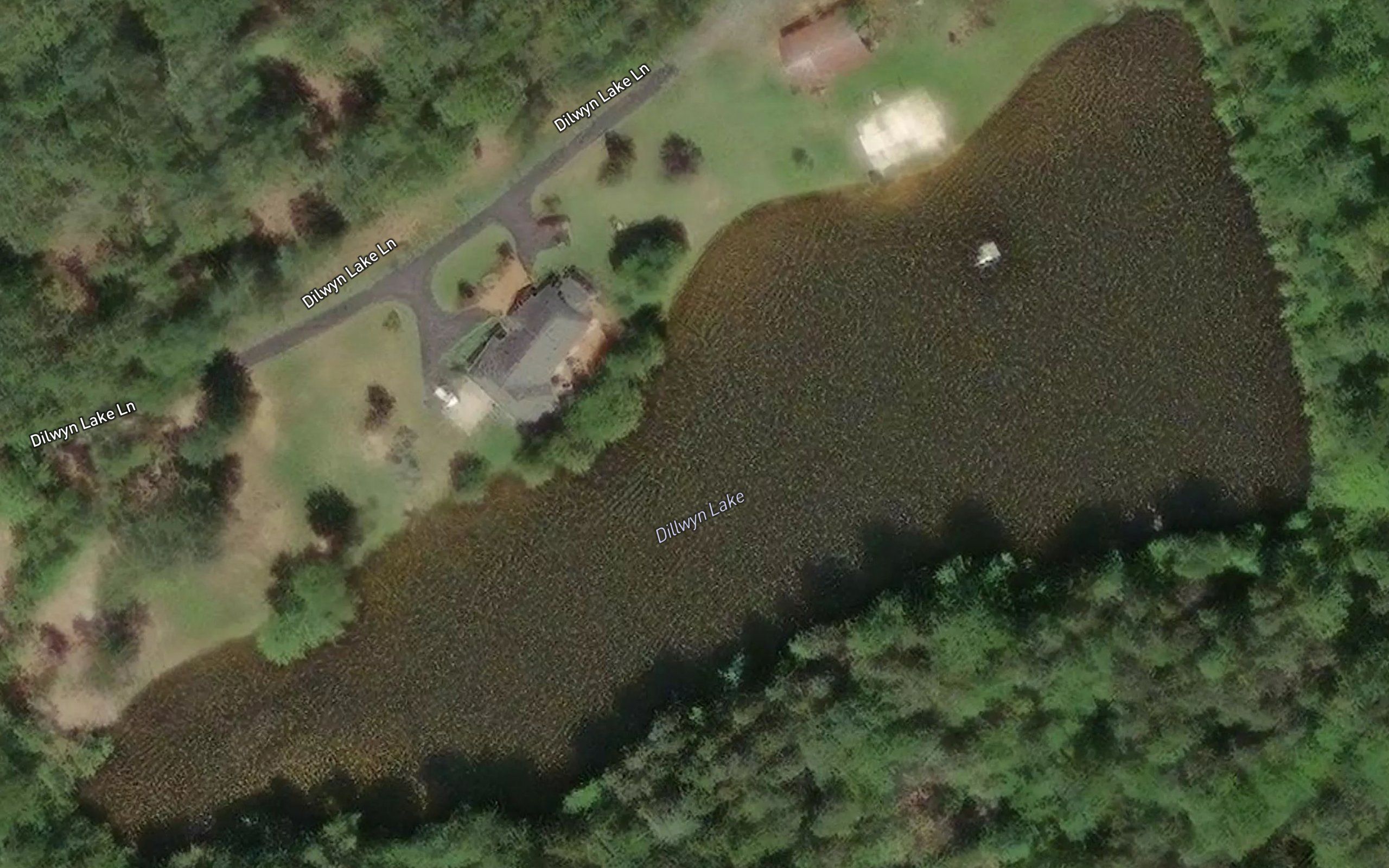 Dillwyn Lake