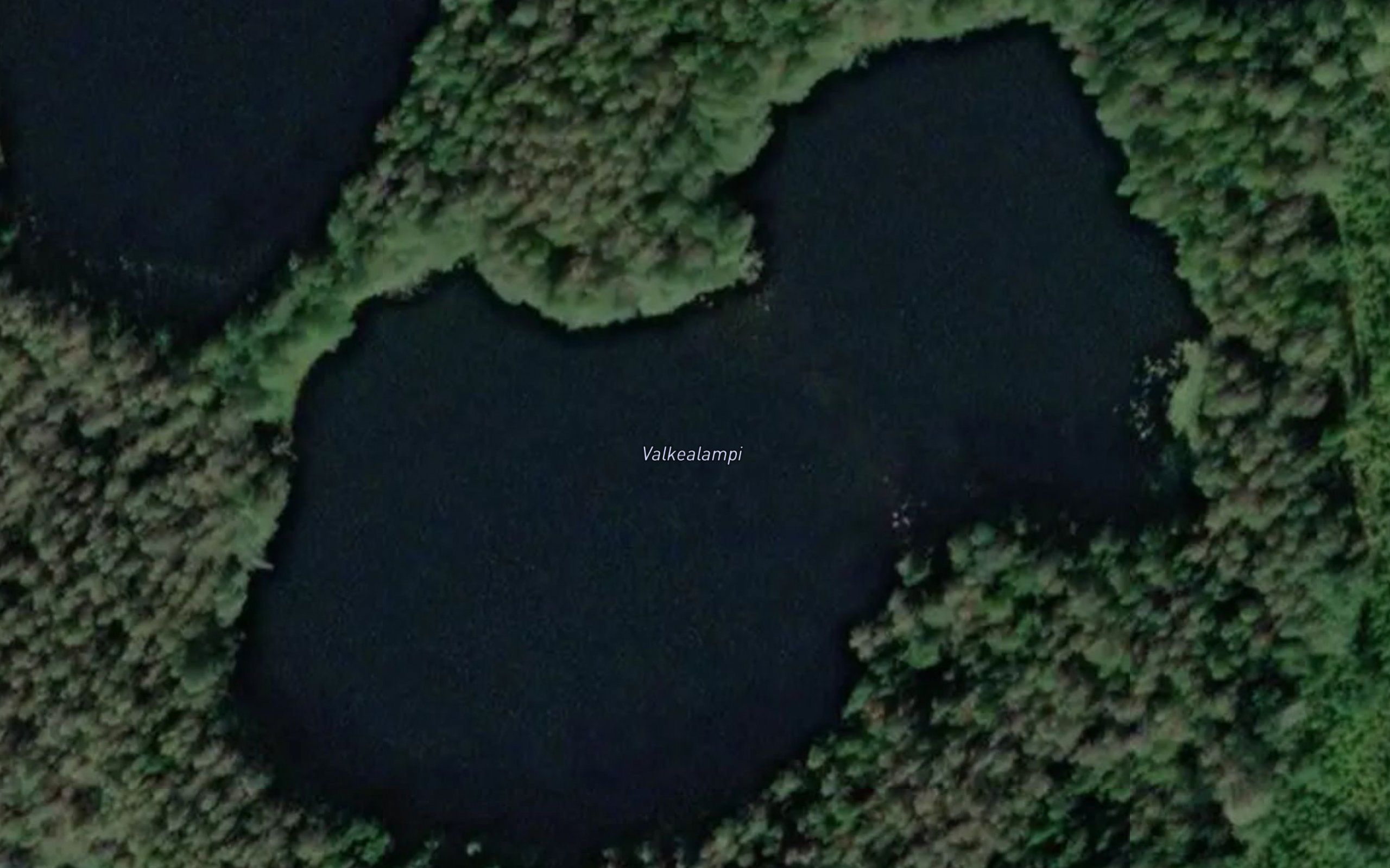 Valkealampi