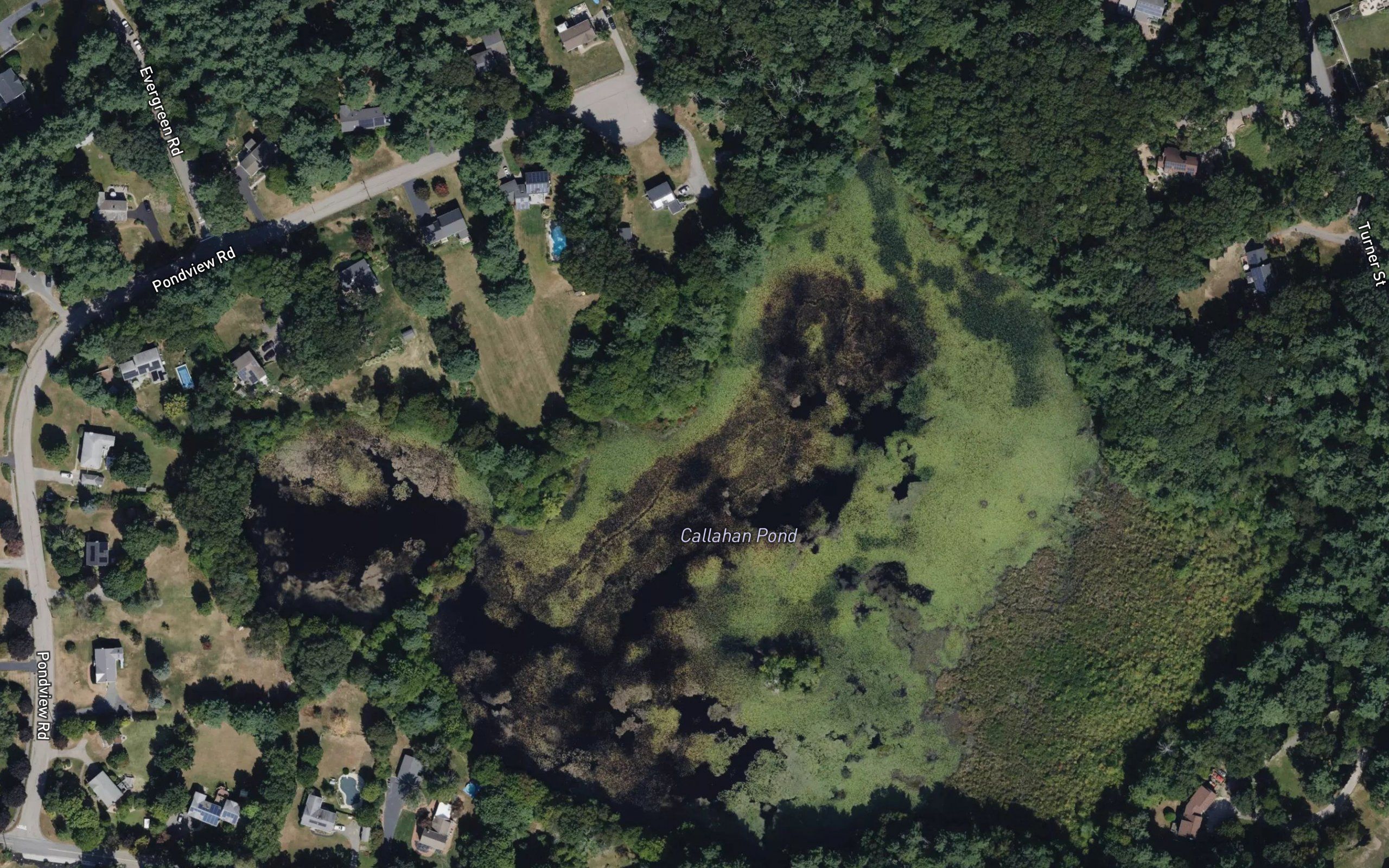 Callahan Pond