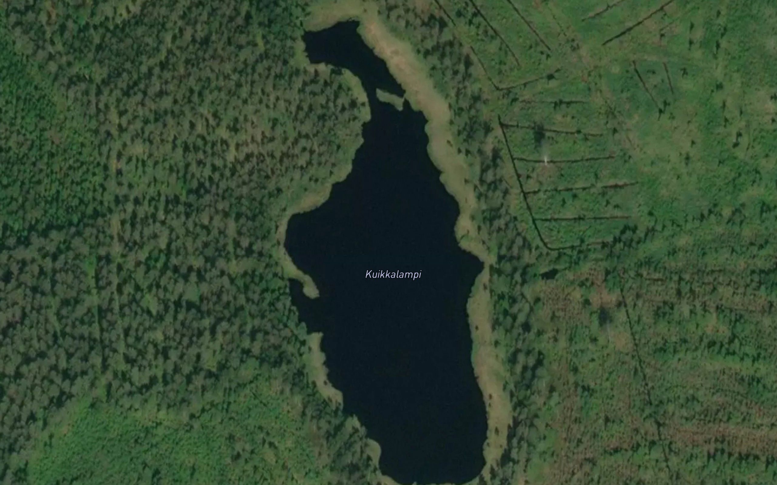 Kuikkalammit