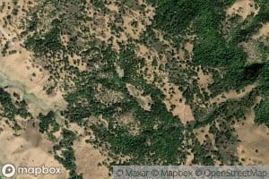 Turnbull Learning Academy