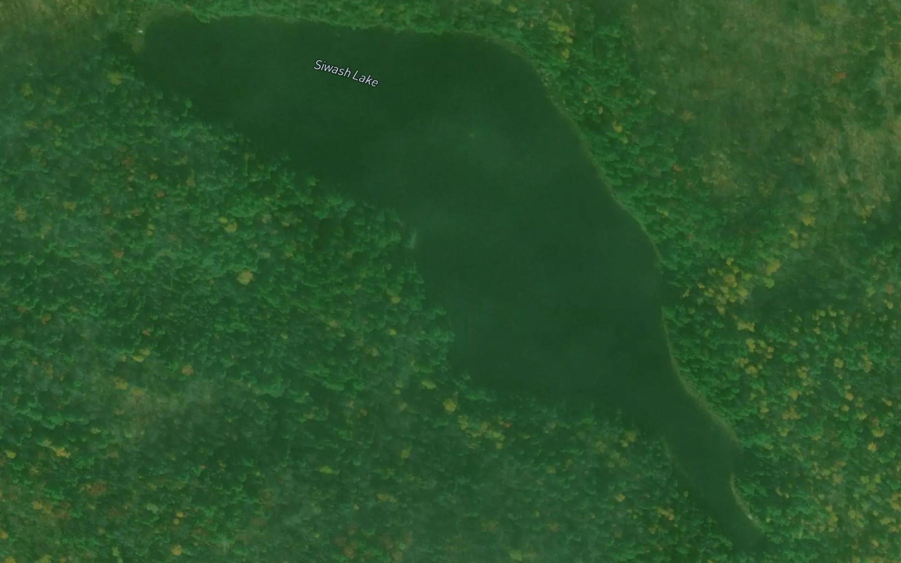 Satellite map of the Siwash Lake